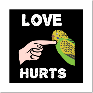 Love Hurts Budgie Parakeet Parrot Biting Posters and Art